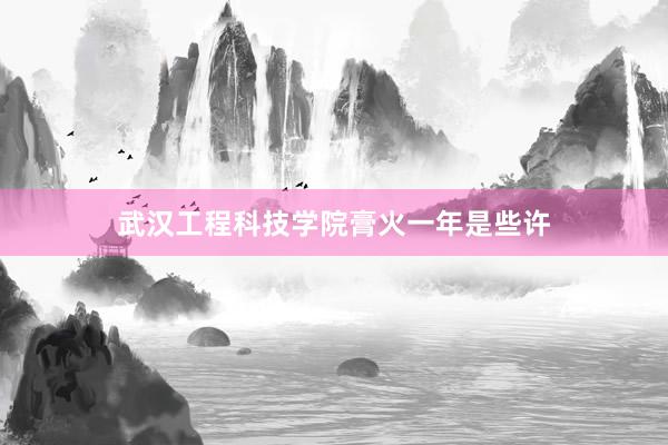 武汉工程科技学院膏火一年是些许